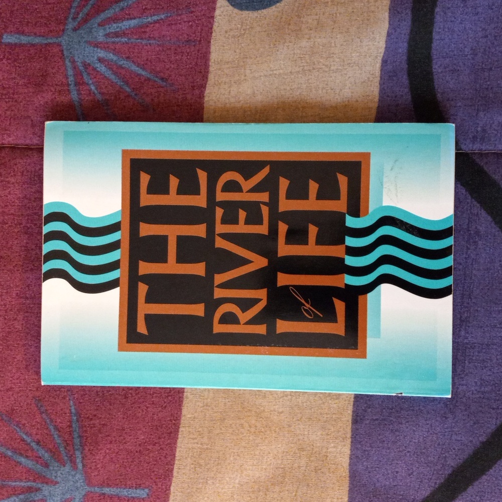 📖 The River of Life Bible - New Testament (New International Version) 📖